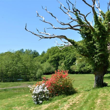 Cardinham River Lodge - Cornwall מראה חיצוני תמונה