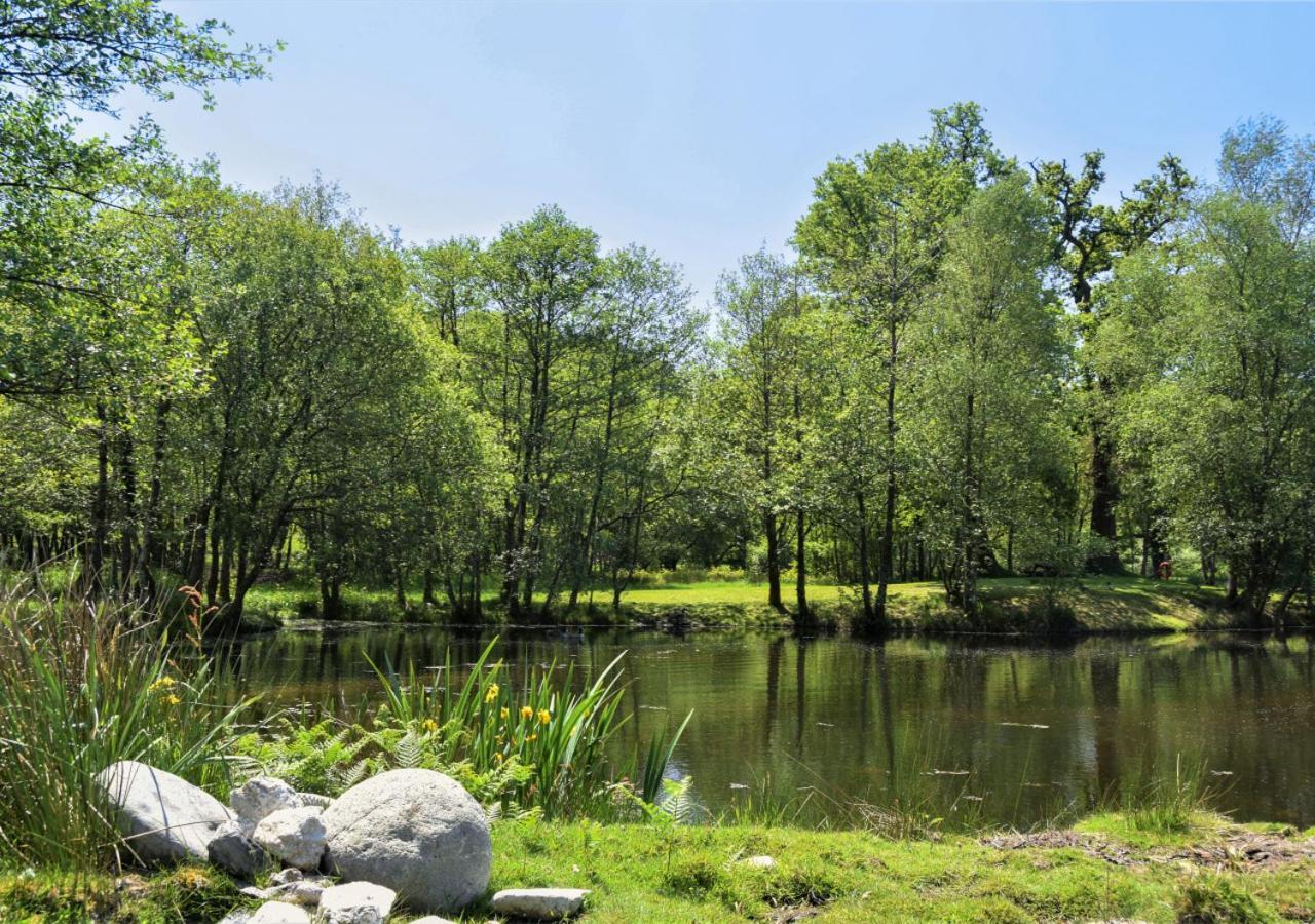 Cardinham River Lodge - Cornwall מראה חיצוני תמונה