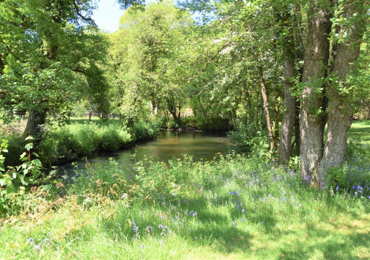 Cardinham River Lodge - Cornwall מראה חיצוני תמונה