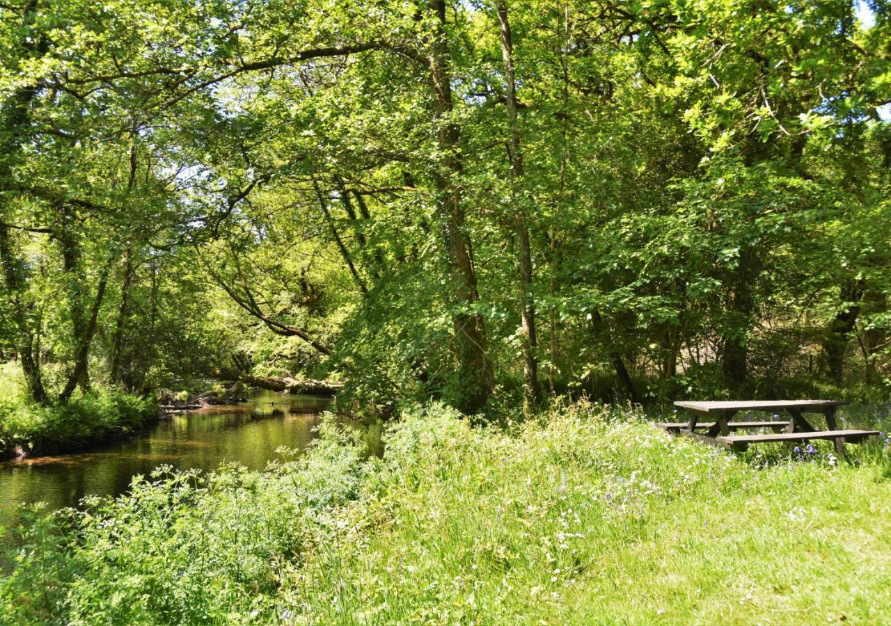 Cardinham River Lodge - Cornwall מראה חיצוני תמונה